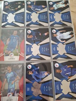 Slovenski sokoli 2024 - 9