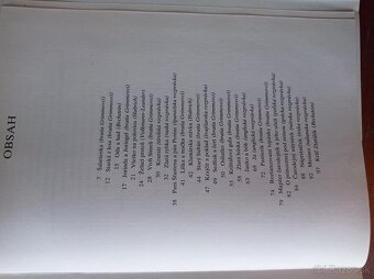 Snehulienka a iné rozprávky (Richard Bamberger) - 9