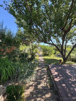 Predám záhradku s chatkou - 9