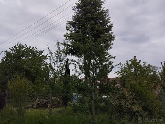 Šikovný pozemok na chalupu Dubovce - 9