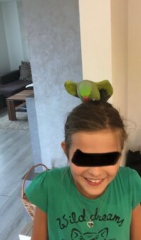 Alexander Malý kľudný krotký. - 9