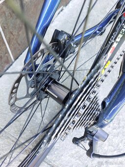 CTM Rascal 4.0 2023 XL+ Sigma ROX 4 HR set - 9