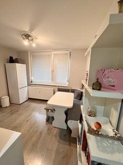 Prenájom- krásny 1 izbový byt  s balkónom, zariadený, NZ - 9