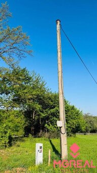 Na predaj výnimočný pozemok 6882 m² priamo v lese so začatou - 9