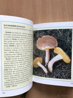 5 x literatura o hubach - 9