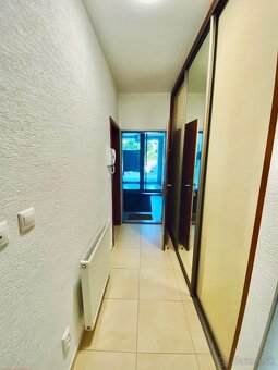 Prenájom 2-izbový byt, Staré Grunty, BA, Karlova Ves. - 9