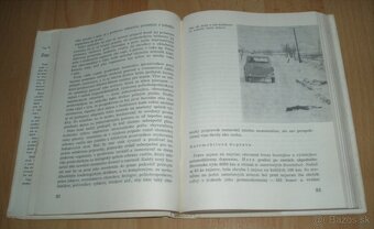Zajac a králik - 9