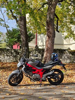 Suzuki SFV650 gladius ABS - 9