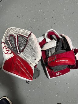br.set Warrior R/G6 Pro custom - 9