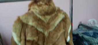 Predam krasny líščí kožuch - 9