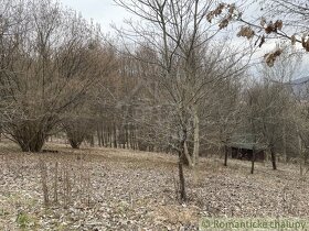 Rozsiahly pozemok s chatkou na okraji Slovenského krasu s - 9