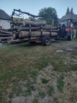 Zetor crystal 12045 - 9