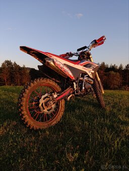 Dirt bike Apollo lizard RFZ 250 - 9