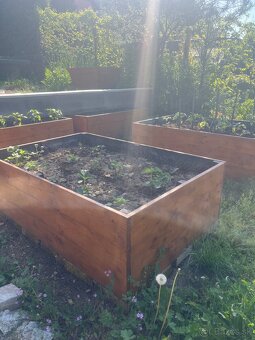 Vyvýšené zahony - 9