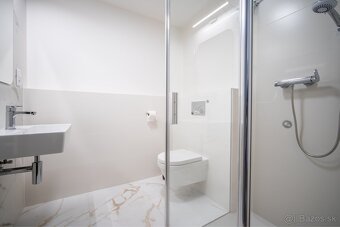 Prenájom 4-izbový byt 110 m², Vydrica, Staré Mesto, BA - 9