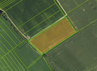 Prenájom vinohradu – Štefanová - 9