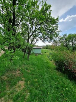 Na predaj vinohrad v meste Skalica - lokalita Žobráky - 9