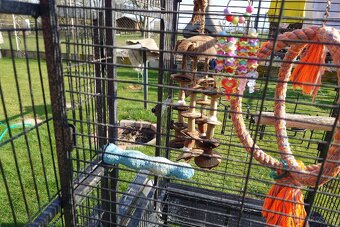 Klietka + zrno a doplnky stravy - 9