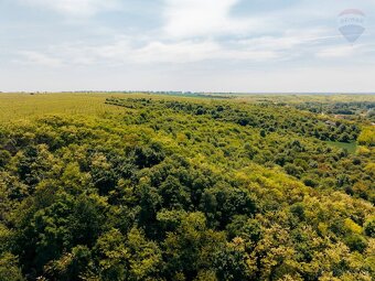Investičný pozemok Báb 2541 m2 - 9