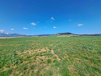 Podhorany – 11.243 m2 ORNÁ PÔDA v podiele 1/1 – Predaj - 9