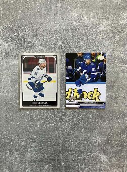 Hokejové kartičky Slováci v NHL - 9