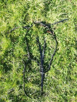 Predám jazdecké potreby - 9