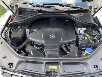 Mercedes-Benz ML 350 BlueTEC 4x4 AMG Packet - 9