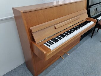 Hohner Piano pre viacero generácie - 9