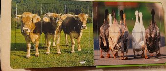 puzzle pre dievča - 9