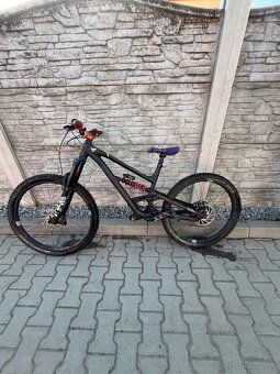 Predam YT capra 2023 - 9