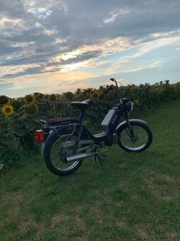 Babetty na predaj🛵 - 9