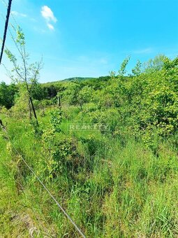 NEOBRÁBANÝ POZEMOK,RAČA-KNIŽKOVA DOLINA,3381m2 - 9