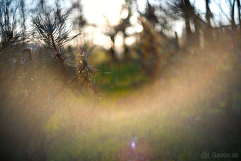 Helios 44M - 9