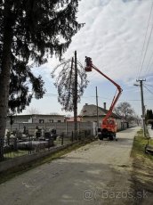 Pílenie a Orezávanie stromov - 9