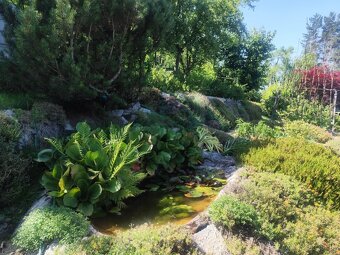 Predám záhradku s chatkou – Mojšová Lúčka I, Žilina - 9