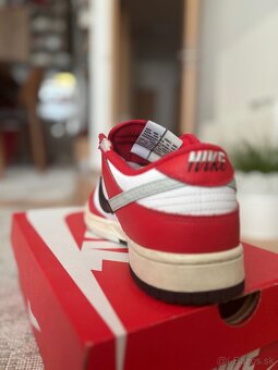 Nike Dunk Low Retro - 9