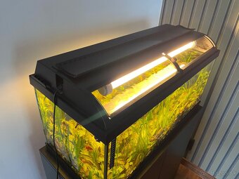 Predám kompletne zariadené 100 litrové akvárium - 9