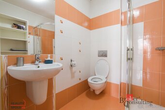 BEŠEŇOVÁ / Predaj apartmánového domu / 4 samostatné jednotky - 9
