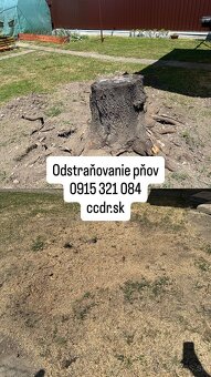 Profesionálne frézovanie a likvidácia pňov – rýchlo, bezpečn - 9