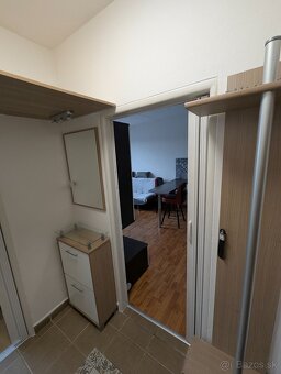 1,5 Izbový byt pri Spoločenskom Pavilóne - 9