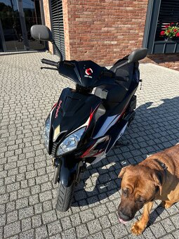 Skúter adamoto 125 - 9