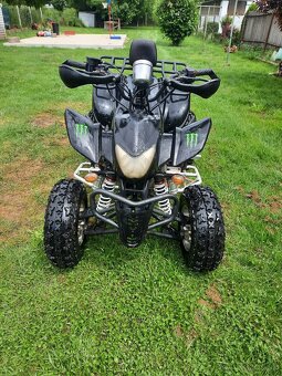 Eagle lyda 203 Tp spz - 9