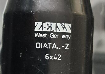 GULOBROKOVA KOZLICA CONRAD HEYM SHUL - 9