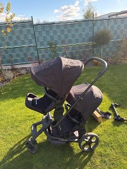 Easywalker Harvey3 - surodenecky kociar - 9