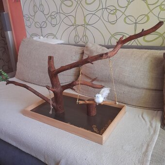 Papagáje, stromobidlá, strom pre papagáje - 9