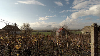 Záhradný domček s vinohradom - 9