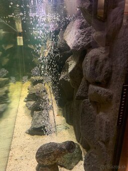 Akvarium - 9