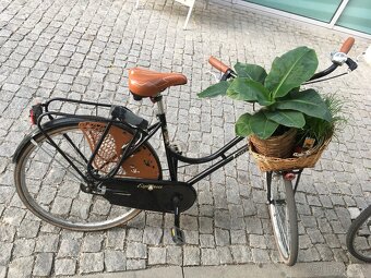 Mestský retro bicykel - 9