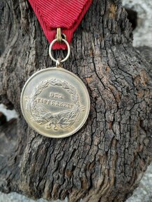 Vyzn, RU-FJI za statočnosť I.trieda Zlatý-starší typ. - 9