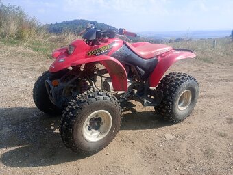 Honda TRX 250ex - 9